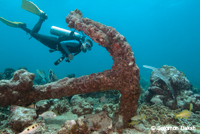 Anchor Flying Reef