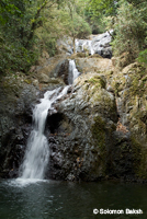 Tobago Waterfall