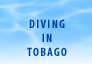 Diving in Tobago